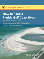 How To Read A Florida Gulf Coast Beach