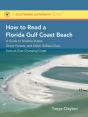How To Read A Florida Gulf Coast Beach - Preview