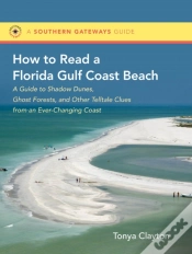 Capa do artigo How To Read A Florida Gulf Coast Beach