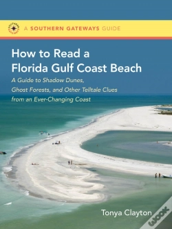 Capa do artigo How To Read A Florida Gulf Coast Beach