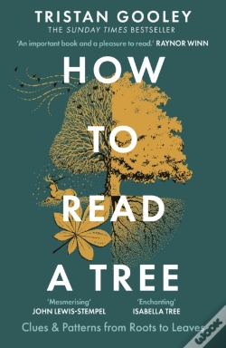 Capa do artigo How To Read A Tree