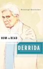 How To Read Derrida - Preview