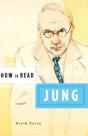 How To Read Jung - Preview
