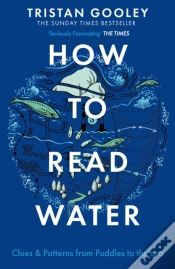 Capa do artigo How To Read Water