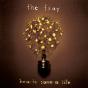 How To Save A Life - CD - Preview