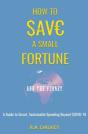 How To Save A Small Fortune - And The Pl - Preview