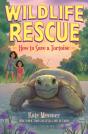 How To Save A Tortoise - Preview