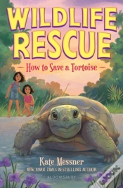 Capa do artigo How To Save A Tortoise