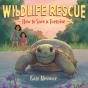 How To Save A Tortoise - Preview