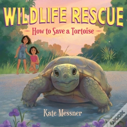 Capa do artigo How To Save A Tortoise