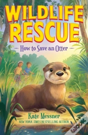 Capa do artigo How To Save An Otter