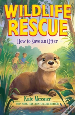 Capa do artigo How To Save An Otter