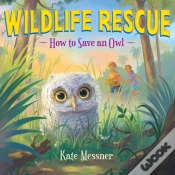 Capa do artigo How To Save An Owl