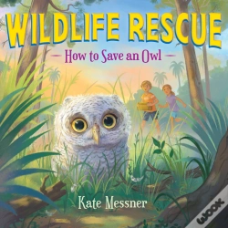 Capa do artigo How To Save An Owl
