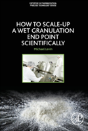 How To Scale-Up A Wet Granulation End Point Scientifically - Preview