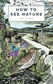 Capa do artigo How To See Nature