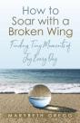 How To Soar With A Broken Wing - Preview