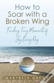Capa do artigo How To Soar With A Broken Wing