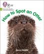 How To Spot An Otter - Preview