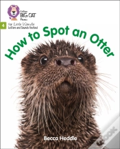Capa do artigo How To Spot An Otter