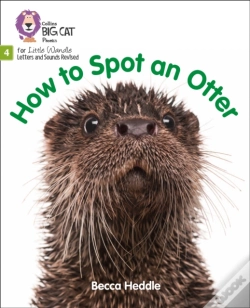 Capa do artigo How To Spot An Otter