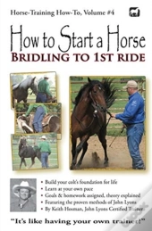 How To Start A Horse