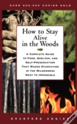 Capa do artigo How To Stay Alive In The Woods