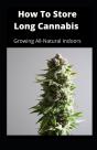 How To Store Long Cannabis - Preview