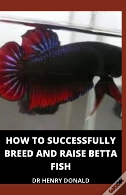 Capa do artigo How To Successfully Breed And Raise Betta Fish