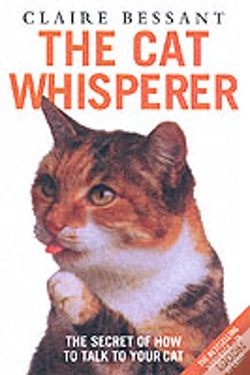 Capa do artigo How To Talk To Your Cat