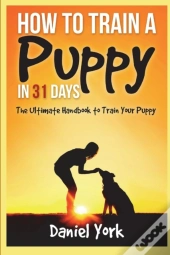 How To Train A Puppy In 31 Days