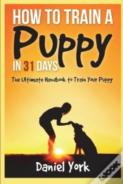 Capa do artigo How To Train A Puppy In 31 Days
