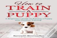 How To Train A Puppy