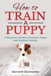 How To Train A Puppy