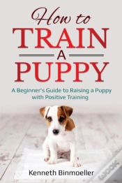 Capa do artigo How To Train A Puppy
