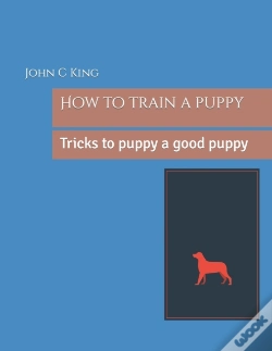 Capa do artigo How To Train A Puppy