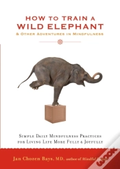 Capa do artigo How To Train A Wild Elephant