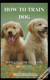 Capa do artigo How To Train  Dog