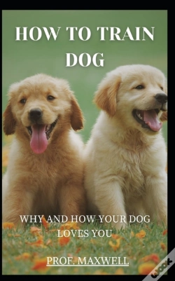 Capa do artigo How To Train  Dog
