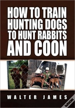 Capa do artigo How To Train Hunting Dogs To Hunt Rabbits And Coon