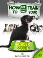 How To Train Your Border Collie - Preview