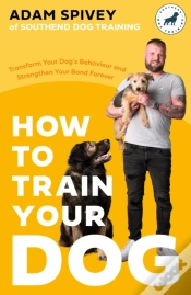 Capa do artigo How To Train Your Dog