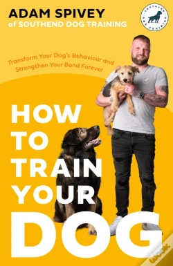 Capa do artigo How To Train Your Dog