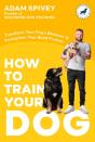How To Train Your Dog - Preview