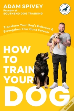 Capa do artigo How To Train Your Dog