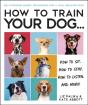 How To Train Your Dog - Preview