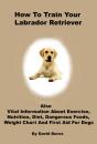 How To Train Your Labrador Retriever - Preview