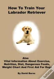 Capa do artigo How To Train Your Labrador Retriever