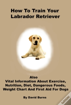 Capa do artigo How To Train Your Labrador Retriever
