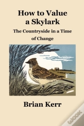Capa do artigo How To Value A Skylark